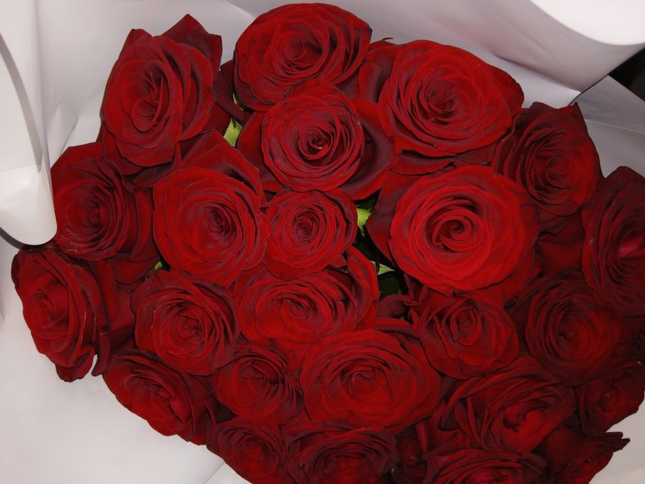 Цветыы срочнааааа