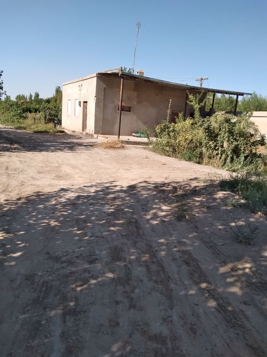 XIVA tumani DASHYOQda Tutar joy sotilad GALISHILADI