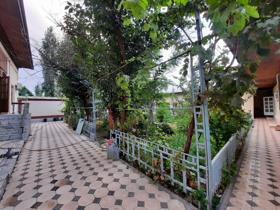 Hovli sotiladi! Barcha sharoitlarga ega