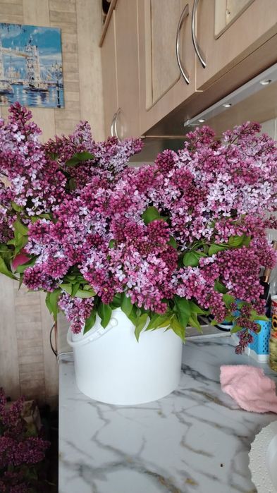 Сирень букет 4000