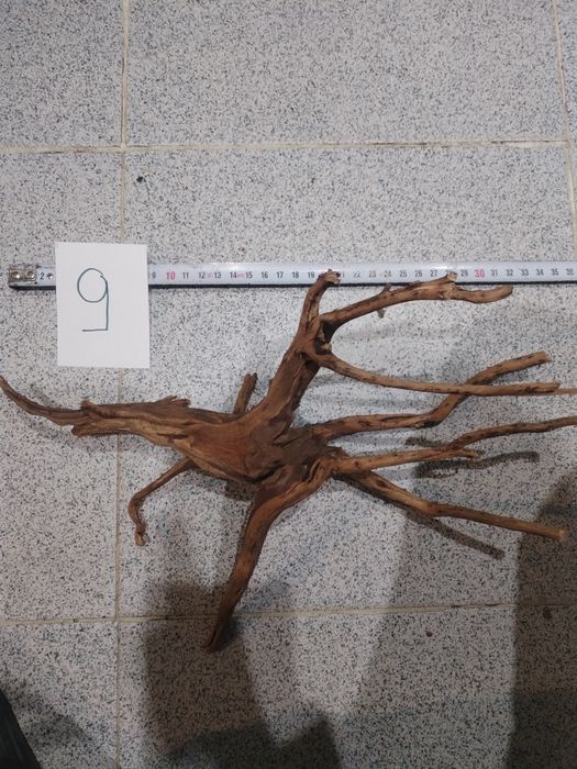 Корени за аквариум, терариум, паладиум