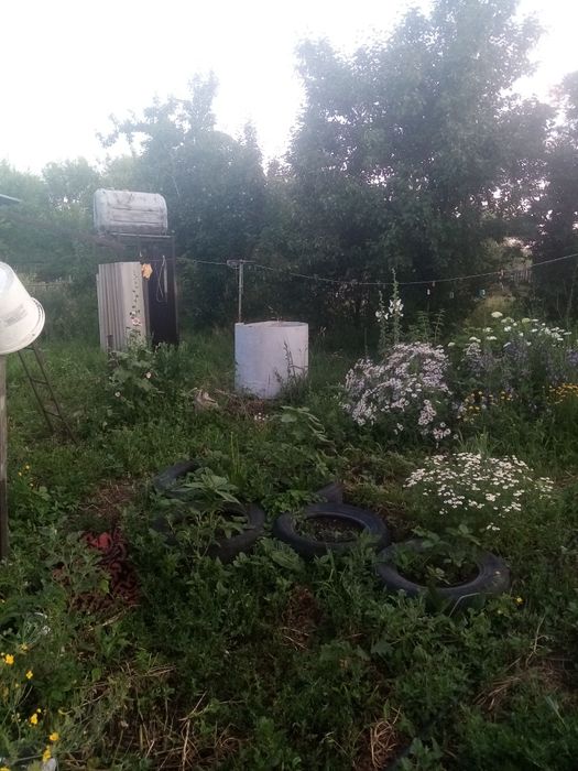 Продам дом, участок 20 соток