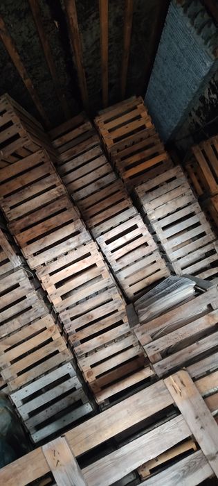 Продам ящики яблочные