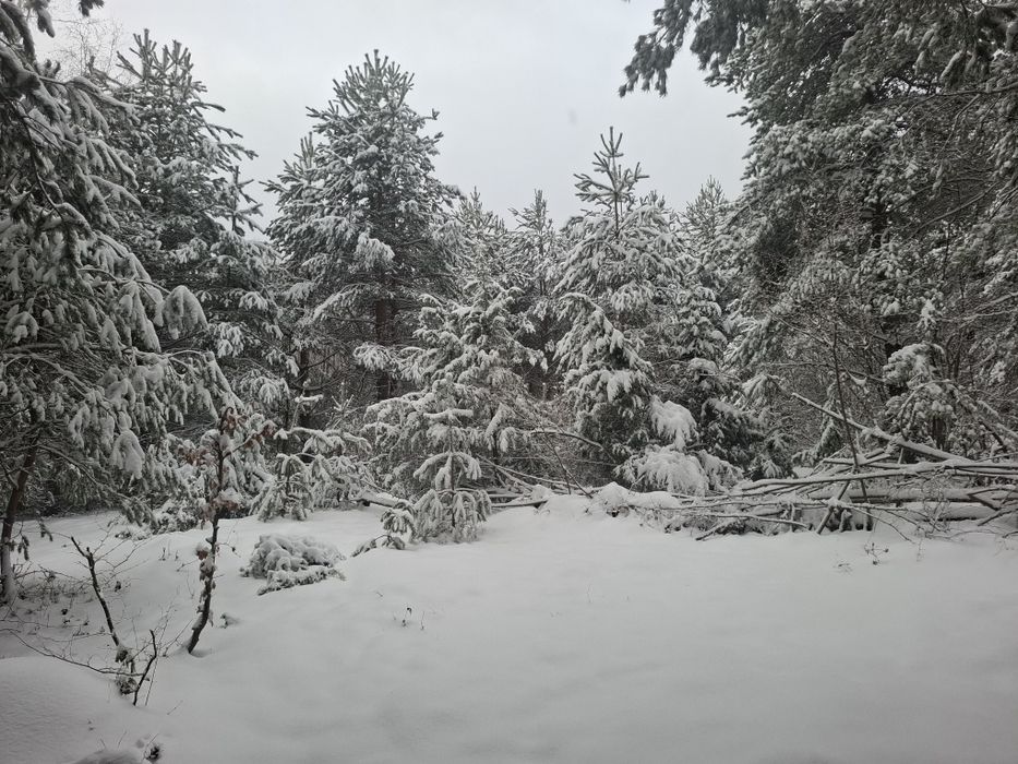 Продава се Земеделски имот в Разлог -  кв.м за 10149 €/дка - Снимка #1