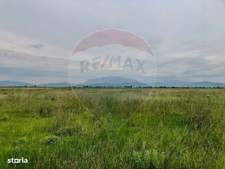 Comision 0% | 4 Parcele 538mp | Harman, Strada MIHAIL SADOVEANU