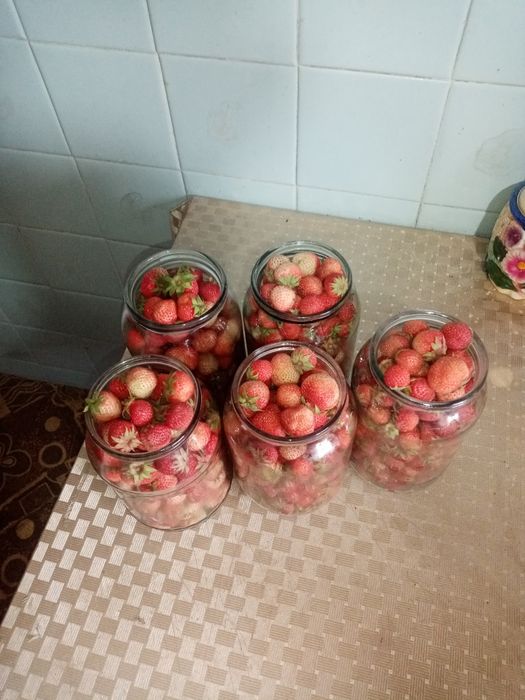 Продаю клубнику дачу