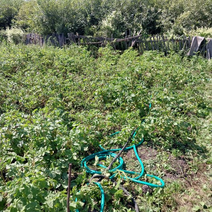 Продам дачу.новопавловка