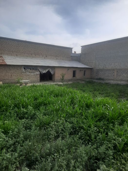 Hovli srochna sotiladi 7 sotix