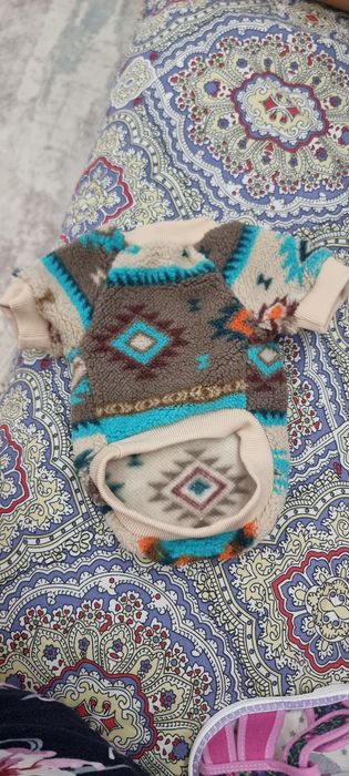 Одежда для кошек