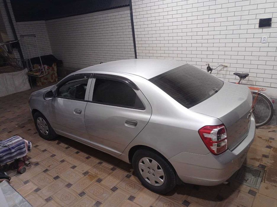 COBALT LT 2-Pozitsitya