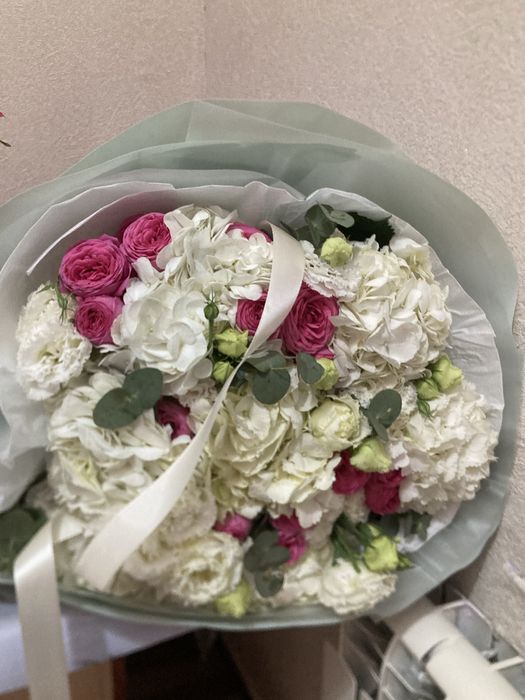 Продам цветы Север свежие