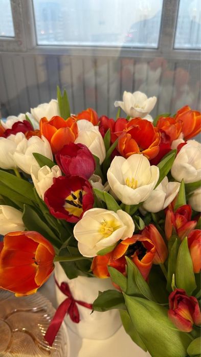 Супер красивые тюльпаны по 800 тг только до 6 марта