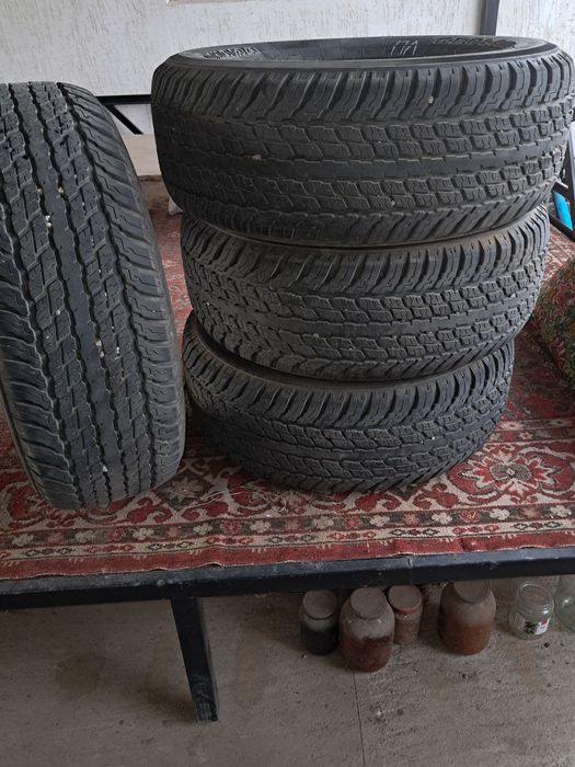 Шина летные бричтаун