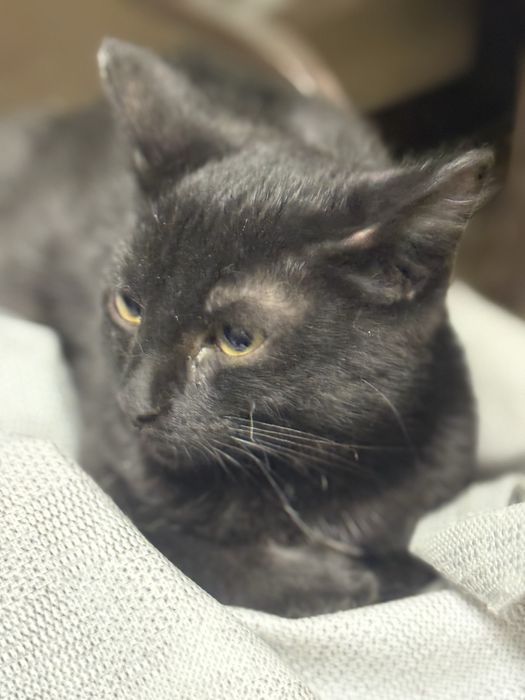 Мальчик, около 3.5-4 месяцев.