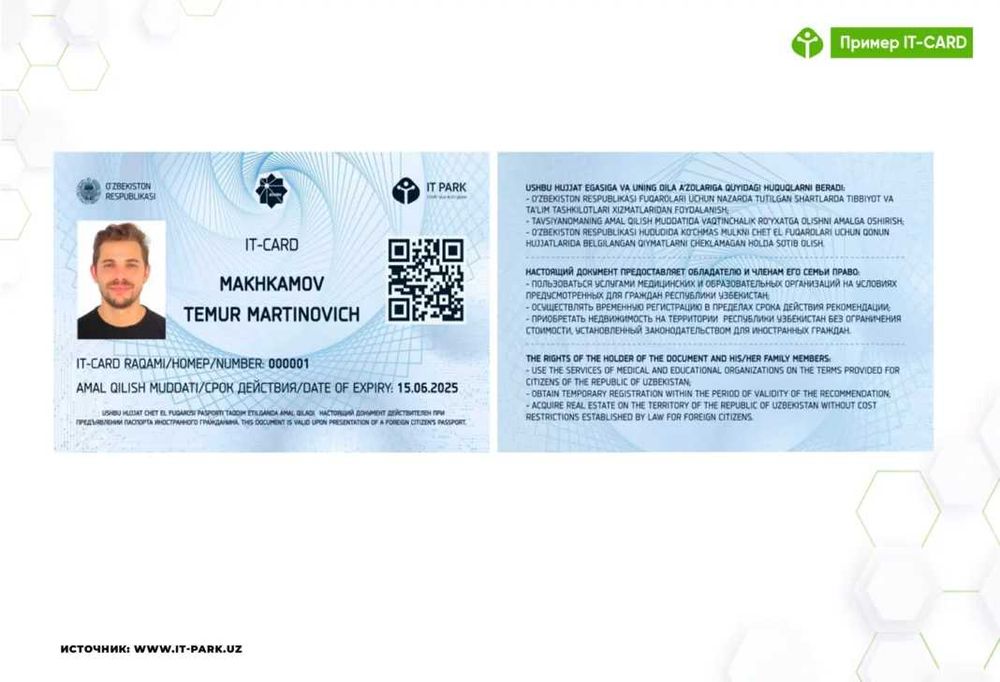 Консультация по получению IT Visa и IT Card