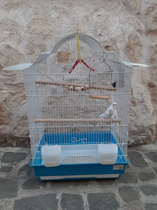 Cusca mare cu accesorii pentru perusi