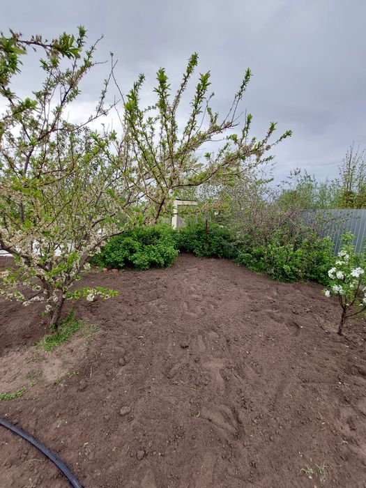 Продам дачу 1 общество