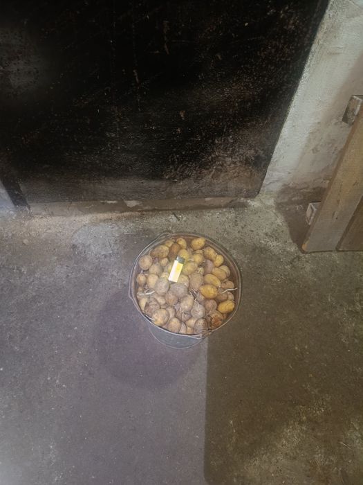 Продам мелкий картофель дачный
