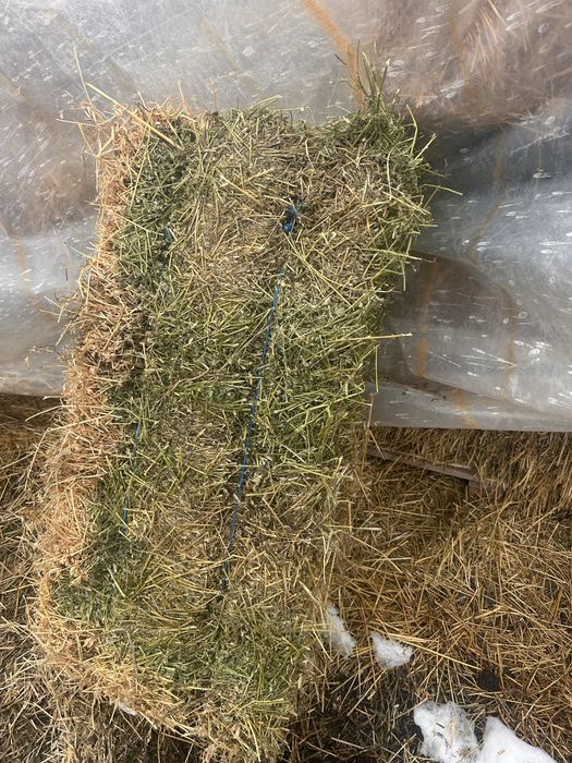 Baloti de trifoi/ paie