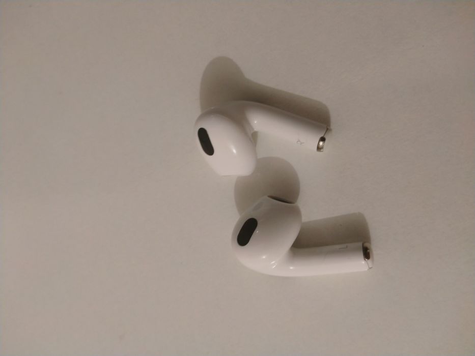 Барсетка және эрподс