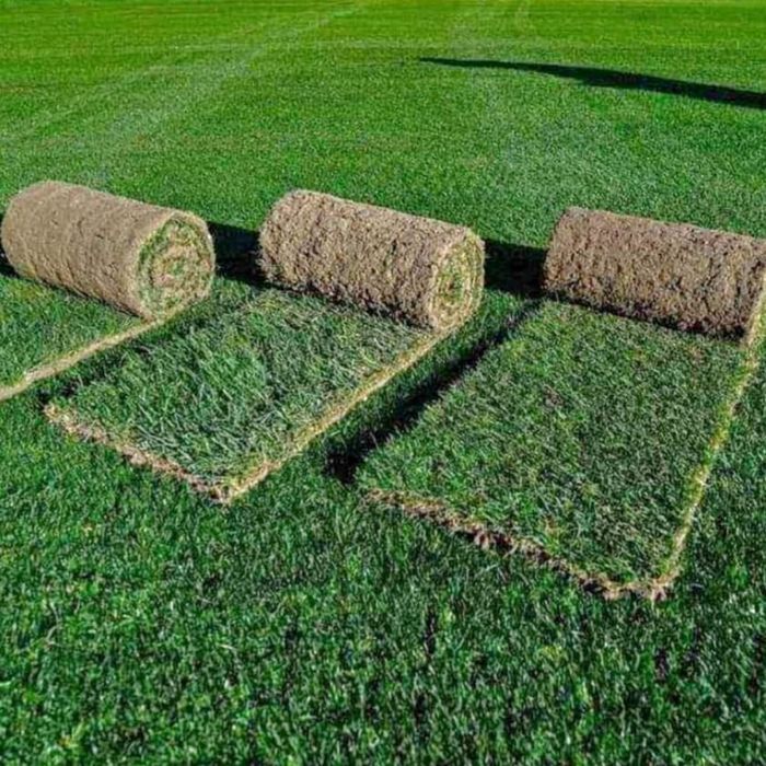 Gazon rulou, însămânțare super calitate. Oferim Transport si montaj