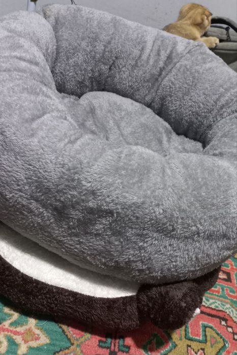 Лежанка- Lejankalar