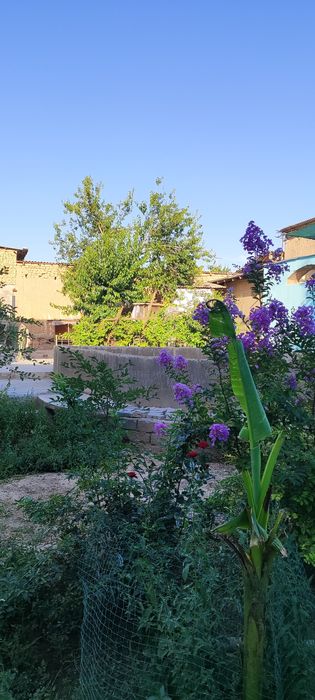 Ховли сотилади Карши шахар Эски шахар