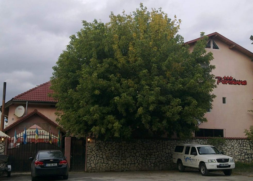 Pensiune Garsoniere 1000  lei  zona Liceul Agricol