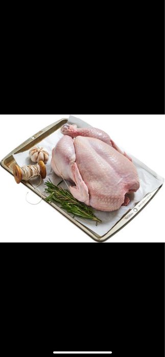 Продам тушки Кур