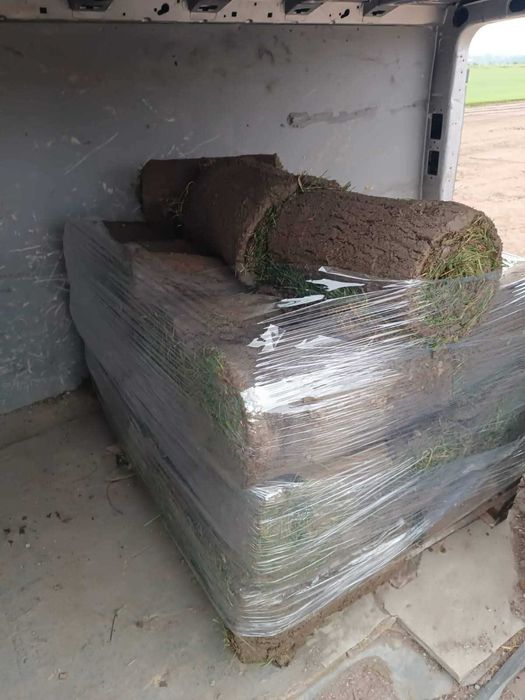 Amenajări grădină