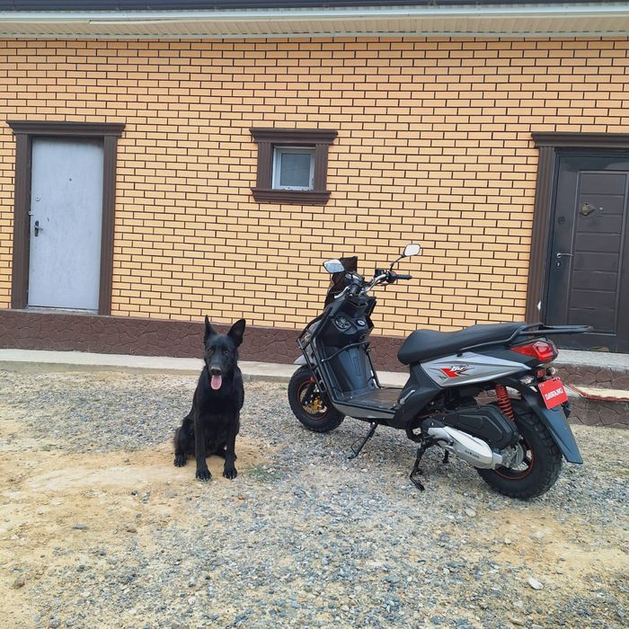 Мотоскутер. Мопед