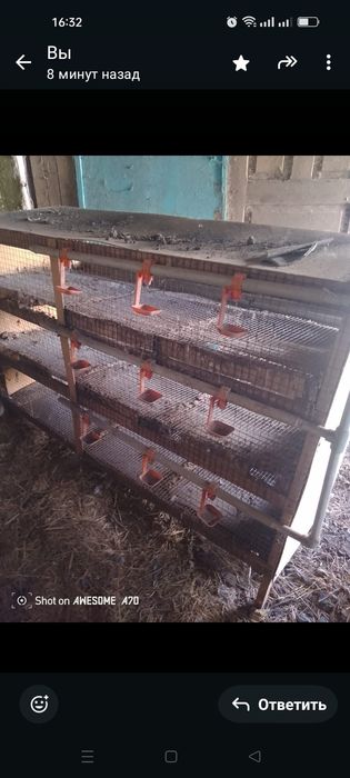 Клетки для перепелов