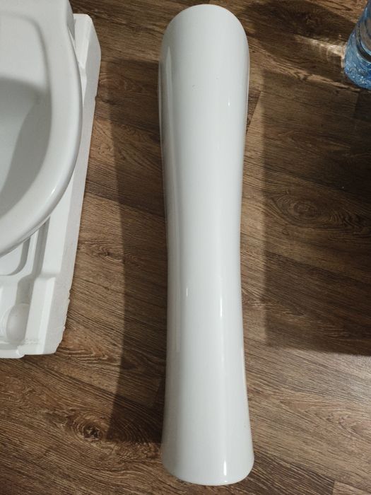 Раковина тюльпан