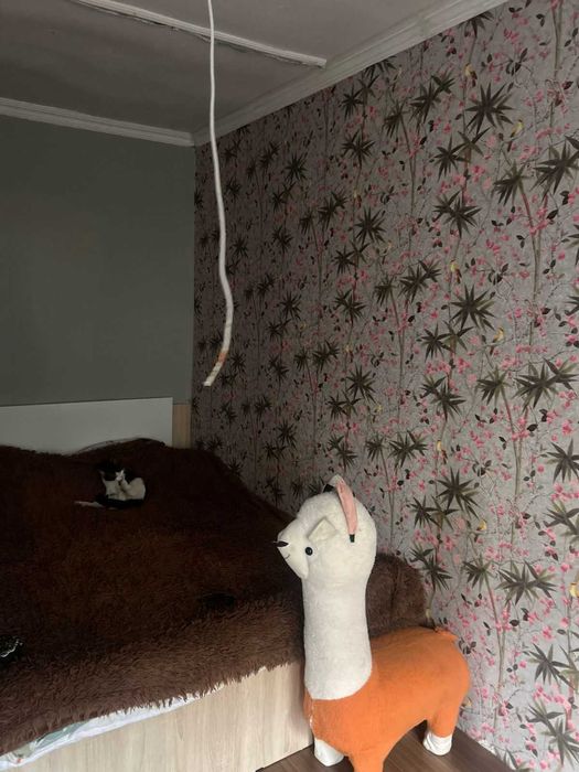 Дача Кайнар Булак срочно срочно