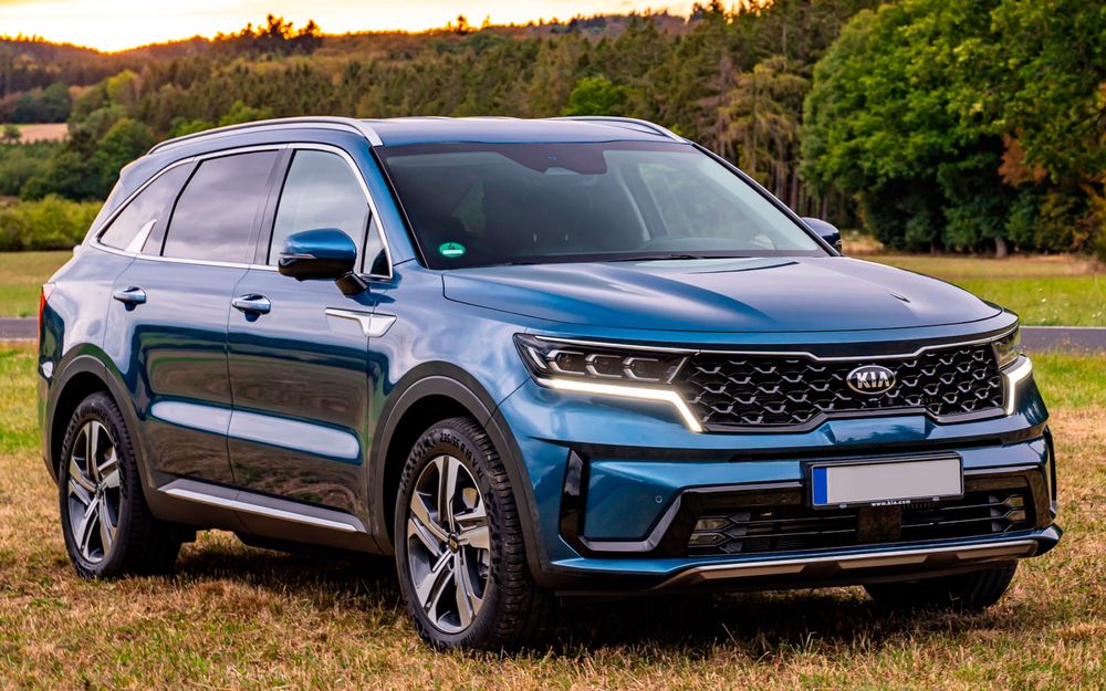 3D коврики (полики) салона KIA SORENTO (2021-)
