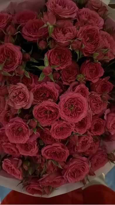 цветы, дарили вчера вечером