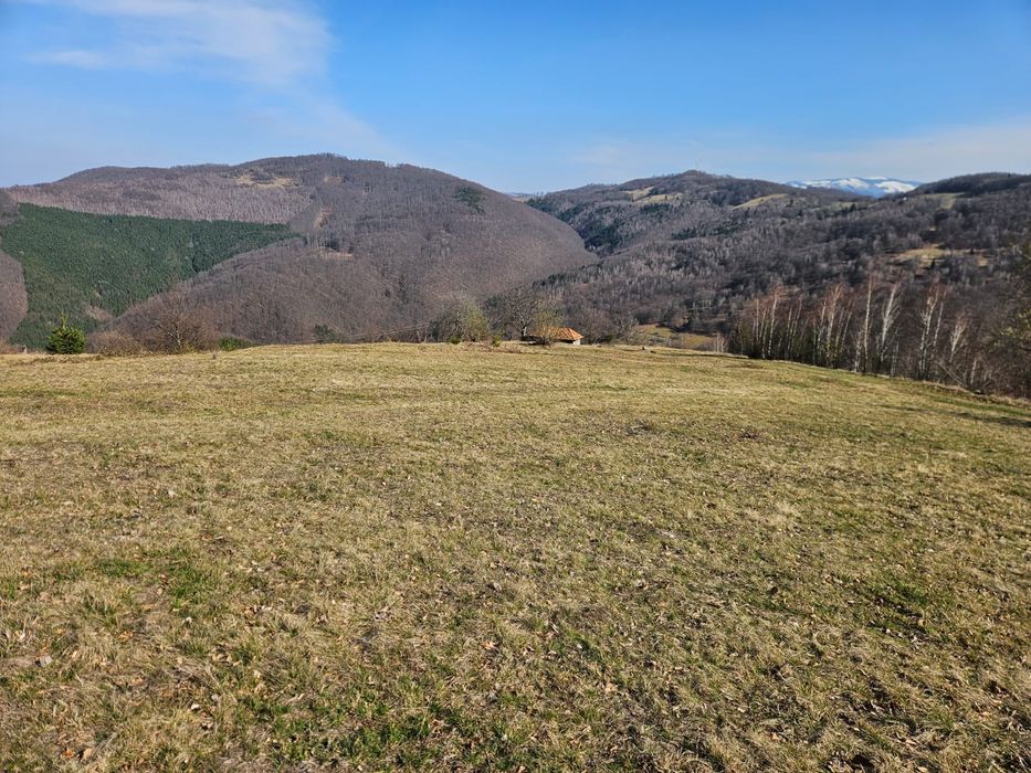 Teren intravilan de vanzare Damis