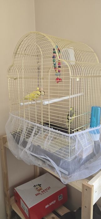 Продам попугаев вместе с клеткой
