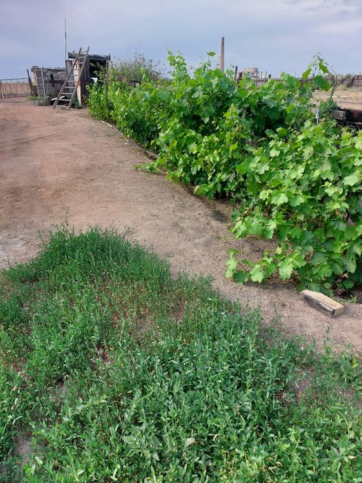 Торангылык 130 м2