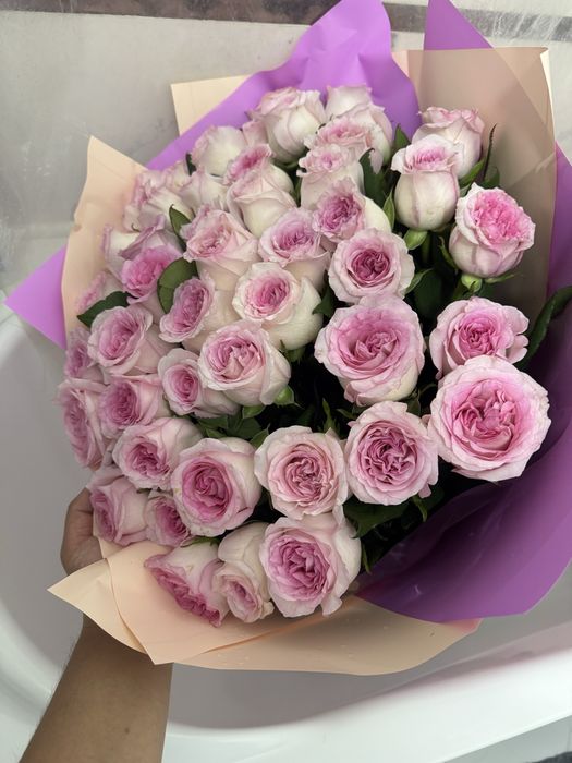 Продам красивые Цветы