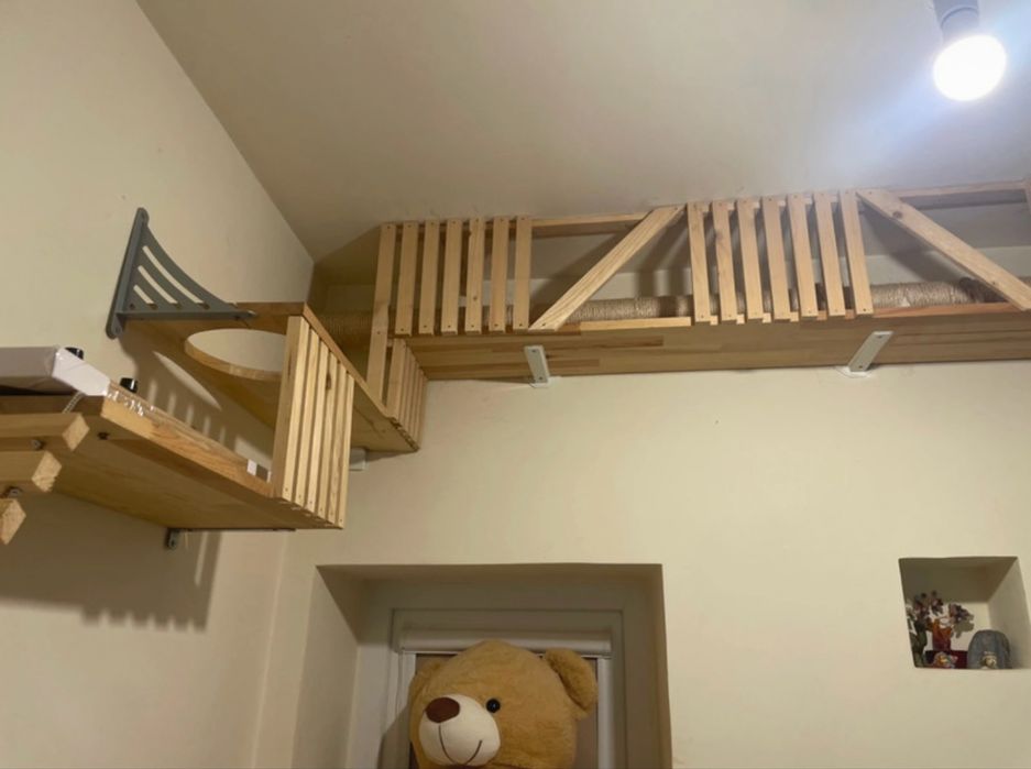 Ansamblu traseu pisici lemn masiv