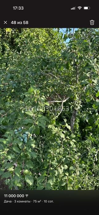 Продается Дача на баме