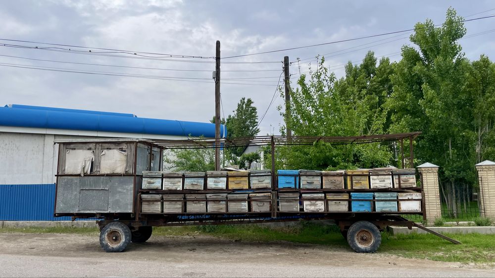 Пцеловод с вагон