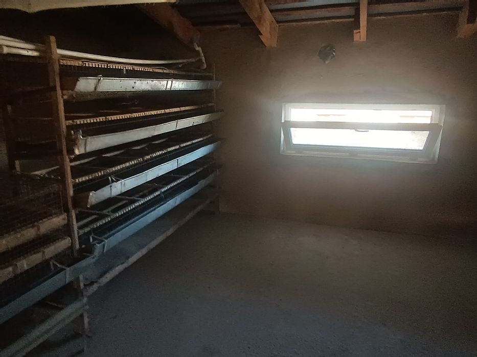 Bedana qafas 2,20metr uzumligi 3,40