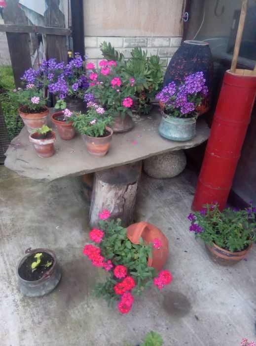 Бучка/буталка,бурил0