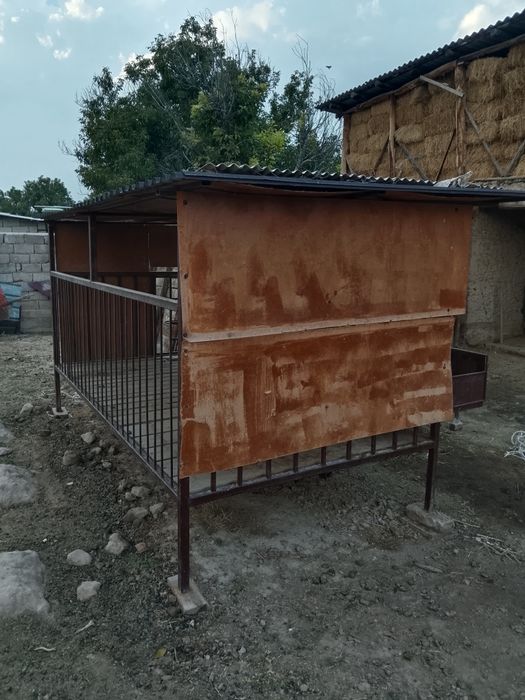 Ассалаумағалейкум!