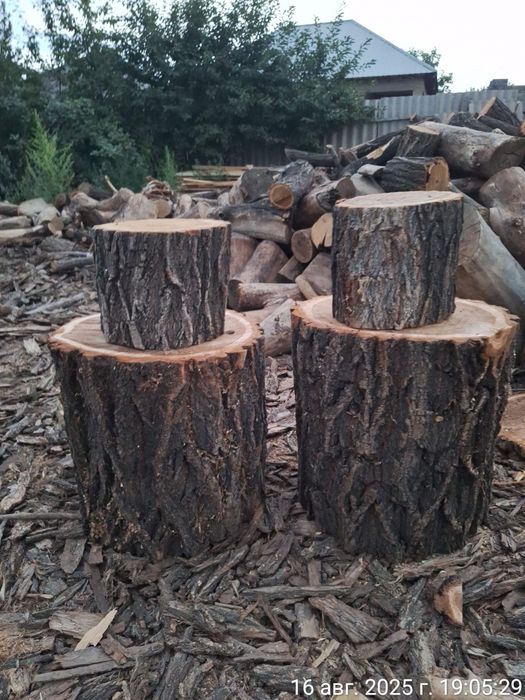 Стол-гриб из карагача