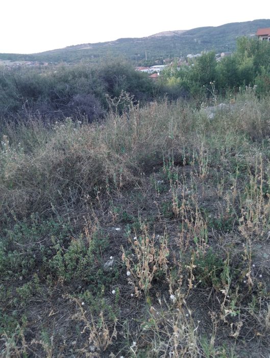 Продава парцел в гр.Дупница