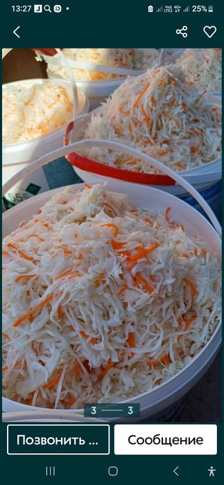 Капуста квашенная