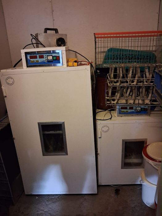 Strut+incubator+eclozor